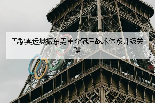 巴黎奥运樊振东男单夺冠后战术体系升级关键
